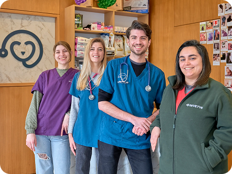 Vétérinaire généraliste – H/F