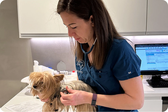 Alternance en communication interne B2B – H/F