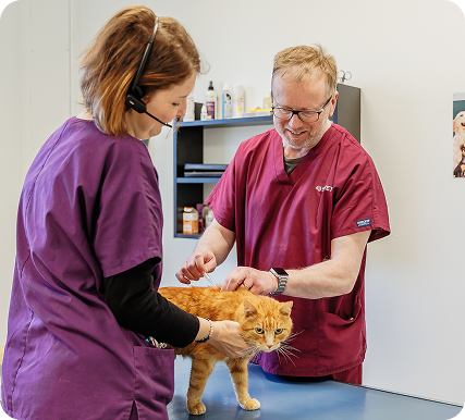 Vétérinaire généraliste canin – H/F