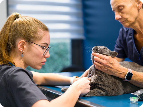 Pour vous <br><span style="color: #1A4748;">concentrer sur le soin</span>