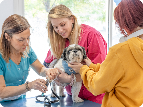 Pour vous <br><span style="color: #1A4748;">épanouir dans votre métier </span>