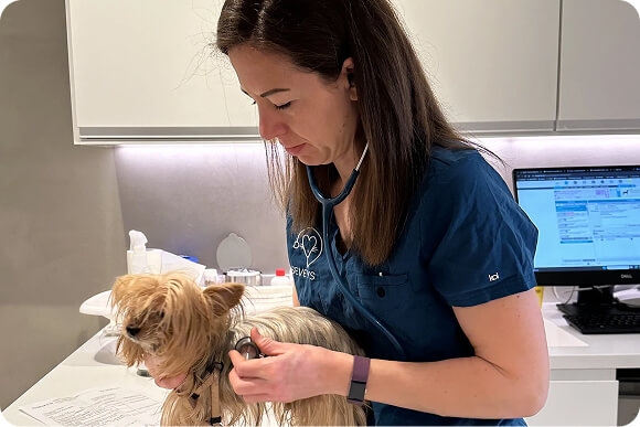 Gestion d’une structure