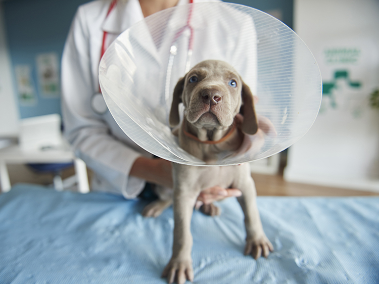 2. Faire évoluer la profession pour la rendre durable