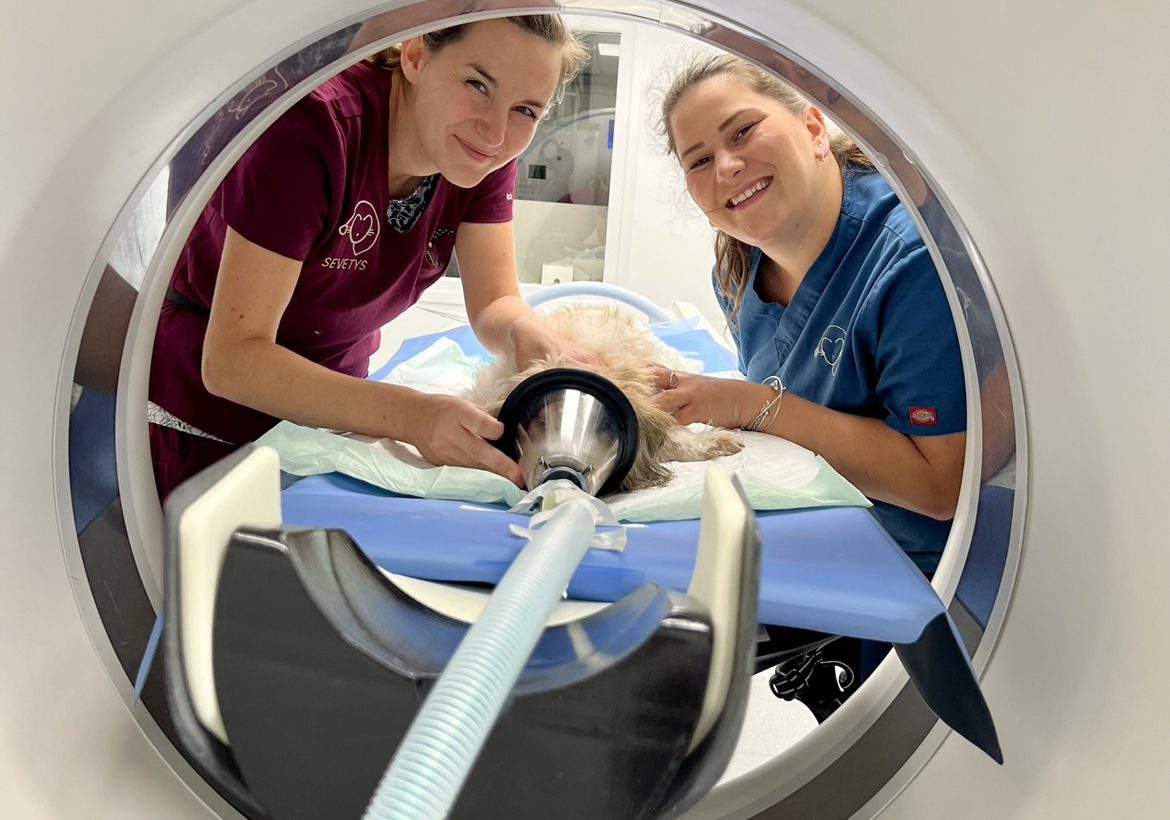 Un collectif solide autour de <span style="color: #1A4748;">chaque professionnel</span>