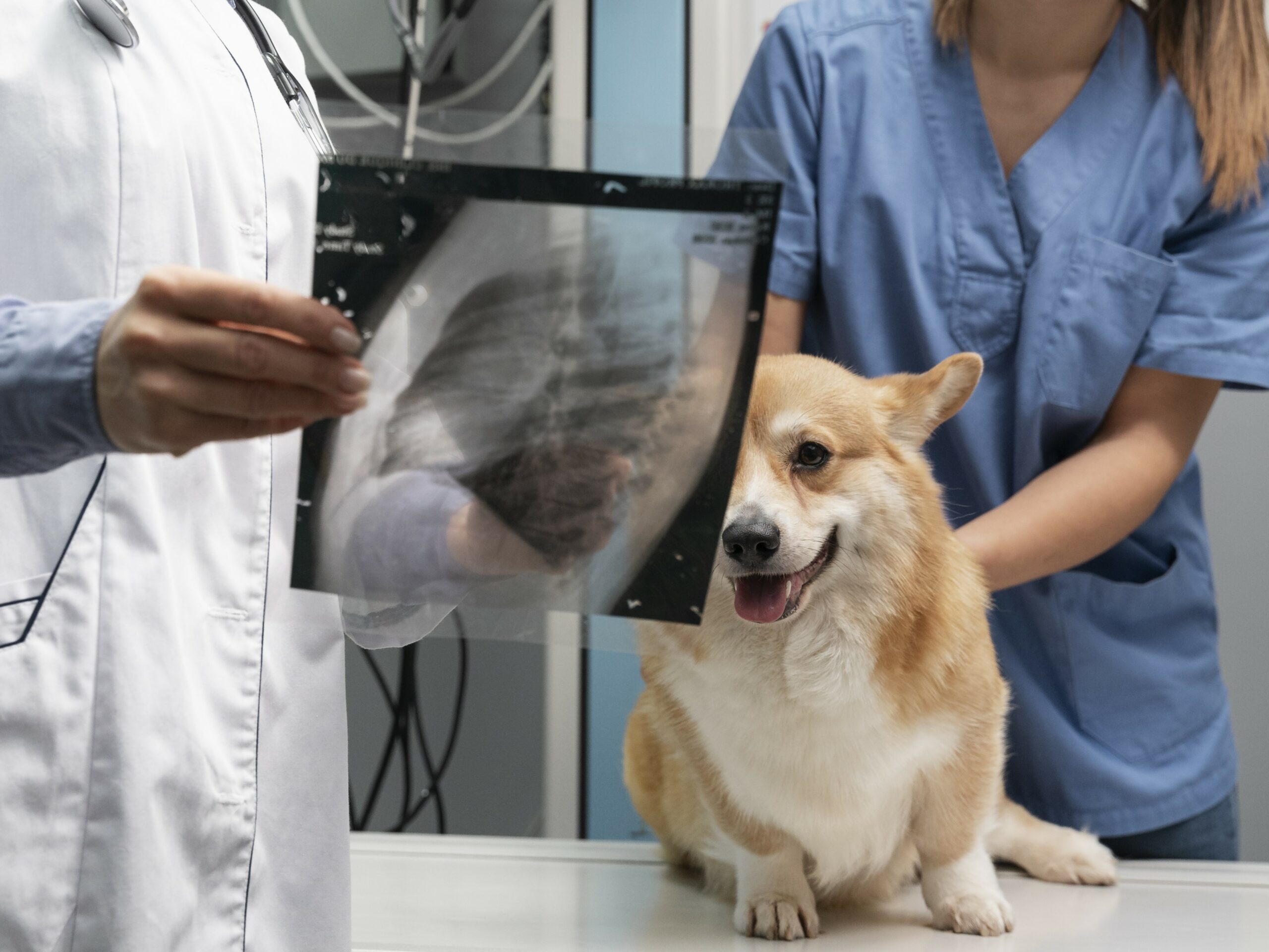 Grandir à chaque étape<span style="color: #1A4748;"> de votre parcours</span>