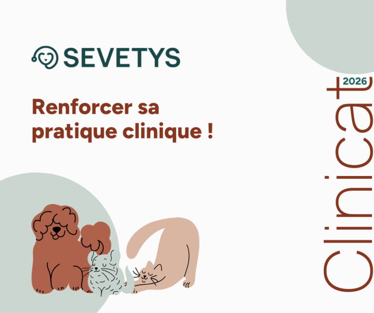 Actualité