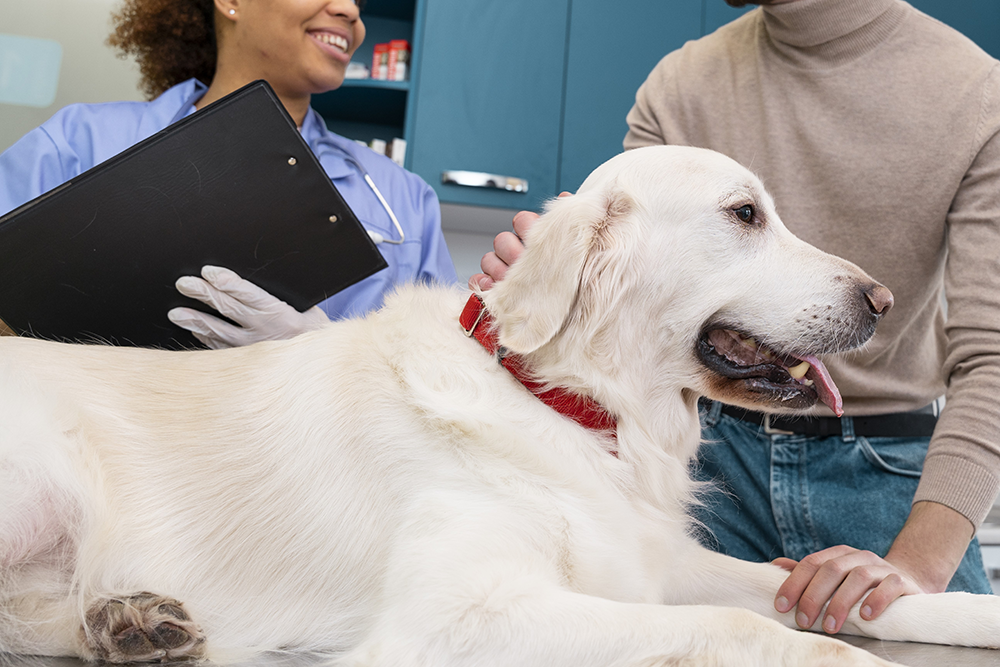 Pilier 2 : <span style="color: #1A4748;">Le lien avec les clients</span>