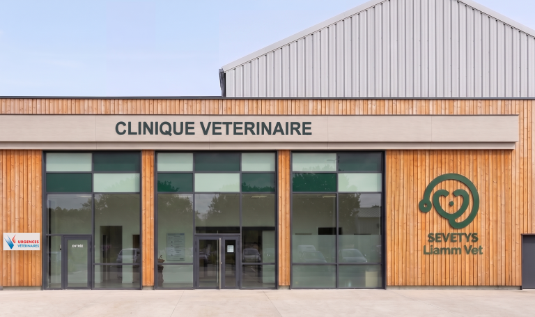 Actualité