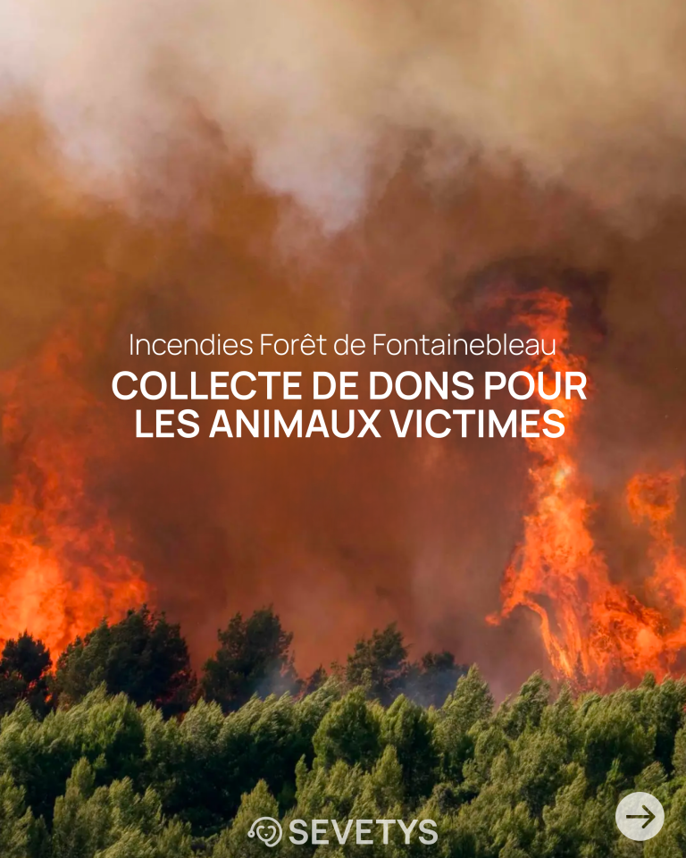 Actualité